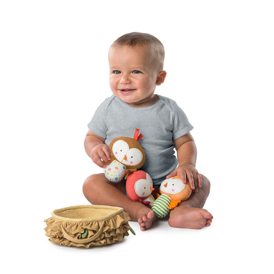 Simply Bright Starts Baby Bird Put Take - Hello Kids Baby Store
