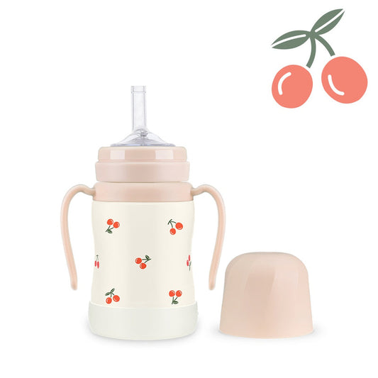 Grosmimi Stainless Straw Cup 300ML - Hello Kids Baby Store