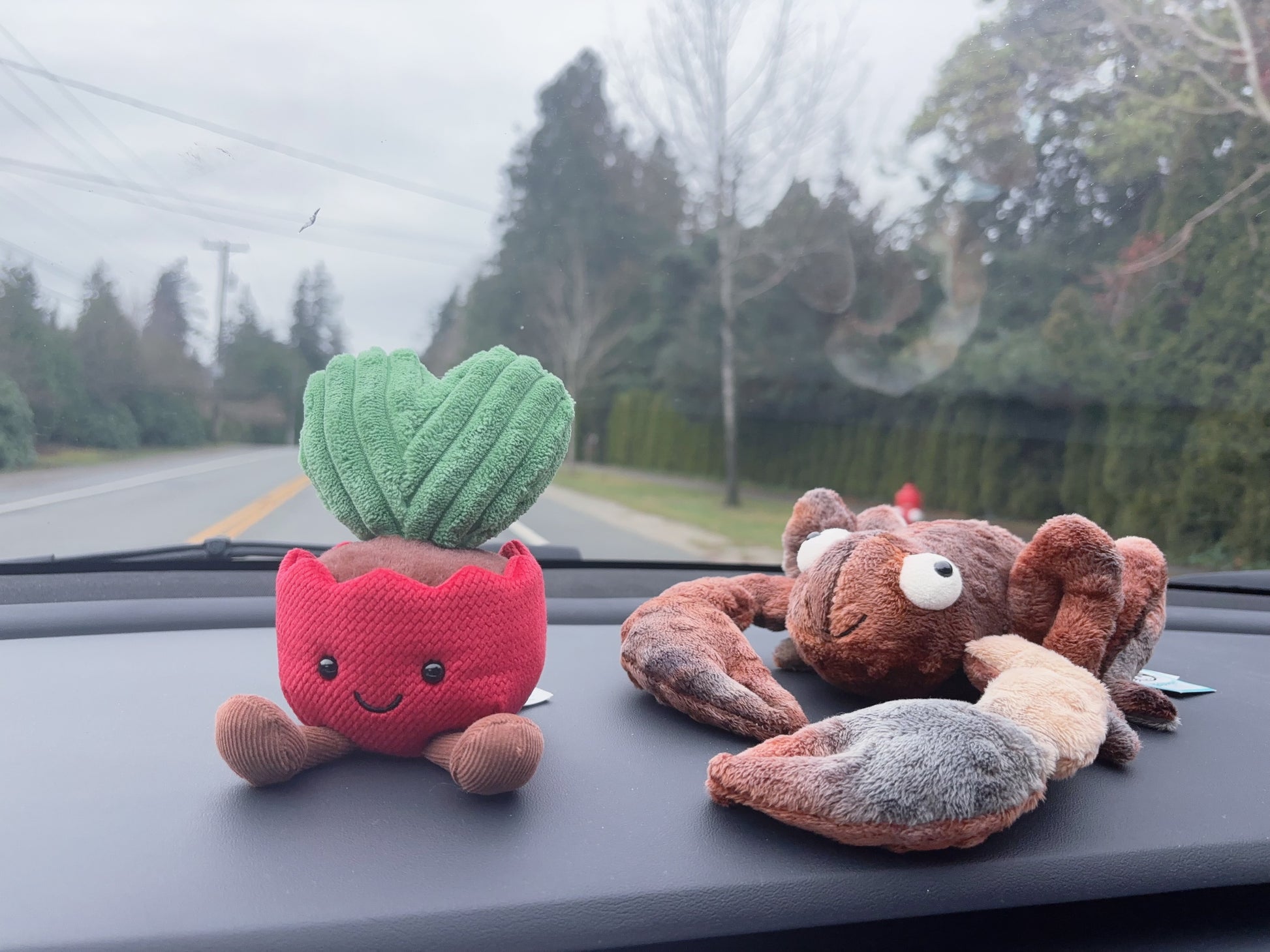 Jellycat Amuseables Kerrii Cactus - Hello Kids Baby Store