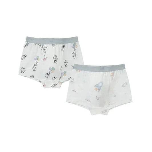 Boys Boxer Briefs Underwear (Bamboo, 2 Pack) - Hello Kids Baby Store