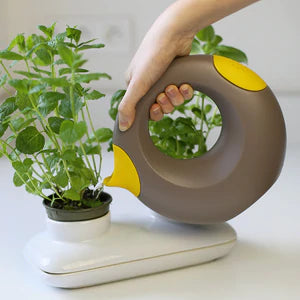 QUUT Cana large 1L - Hello Kids Baby Store