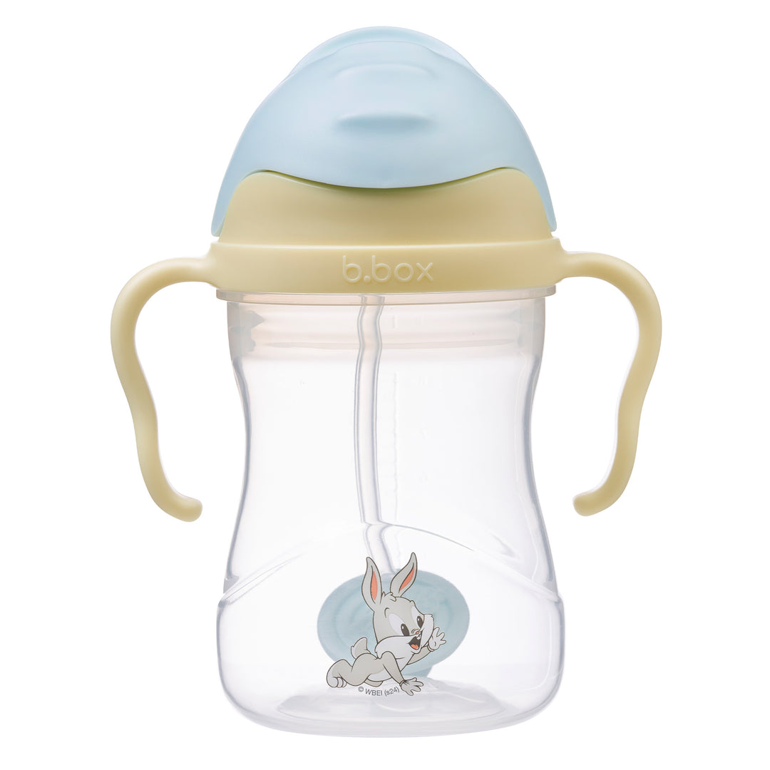 B.BOX SIPPY CUP - Hello Kids Baby Store