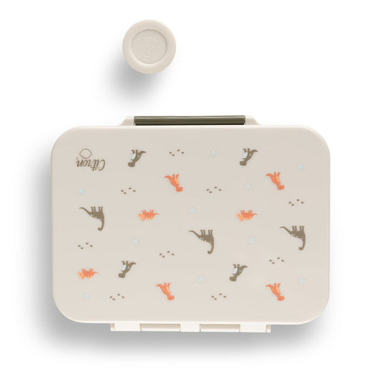 Lunchbox - Dino - Hello Kids Baby Store