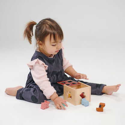 Bambino Shape Sorting Cube - Hello Kids Baby Store