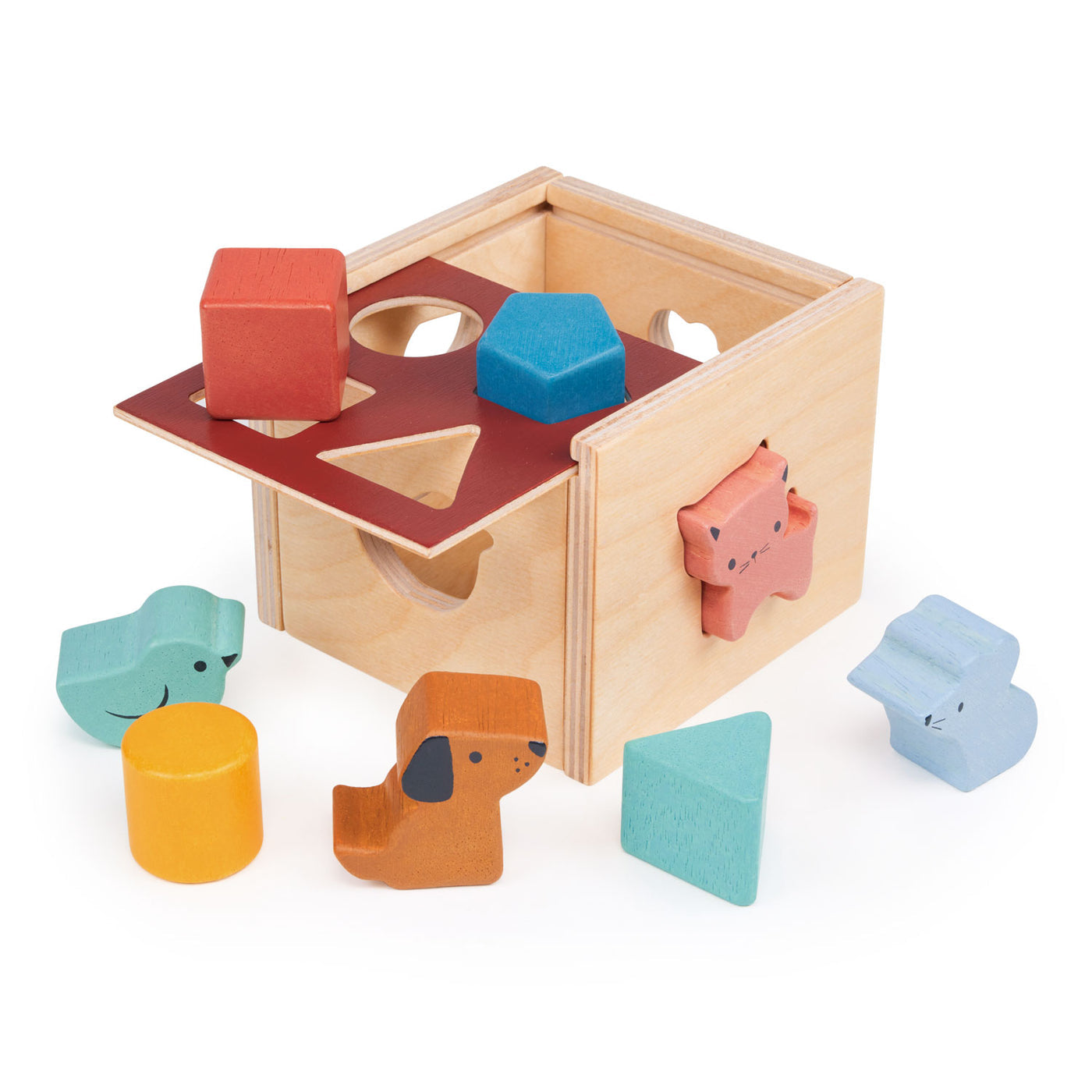 Bambino Shape Sorting Cube - Hello Kids Baby Store