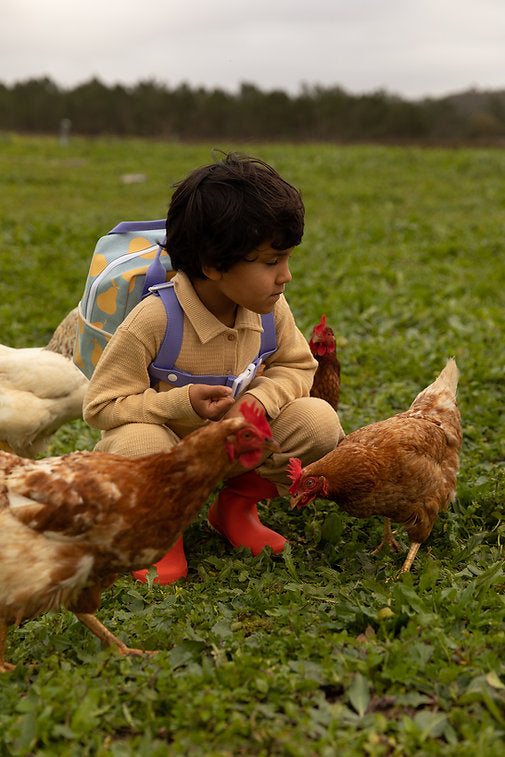 chest strap | farmhouse - Hello Kids Baby Store