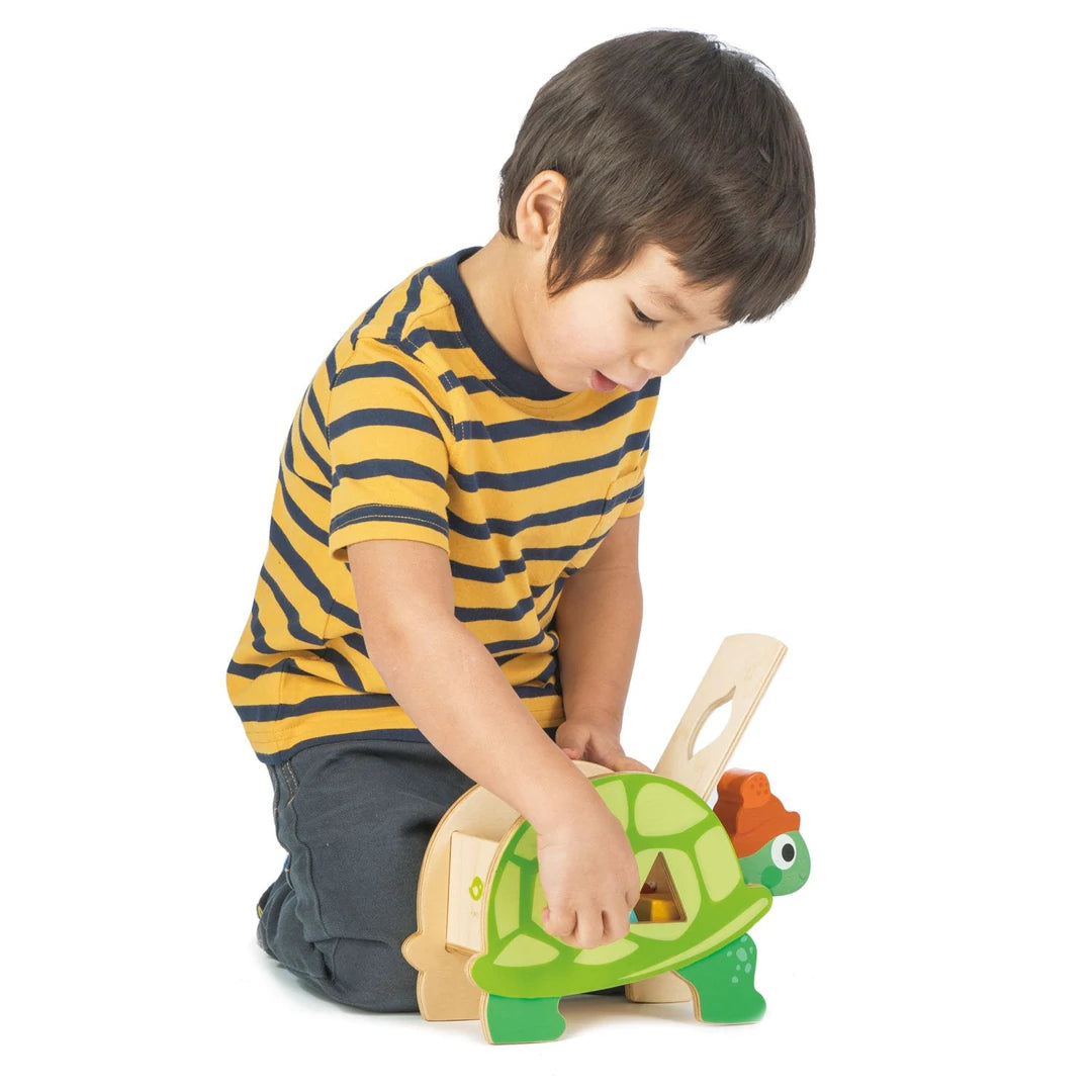 Tortoise Shape Sorter - Hello Kids Baby Store