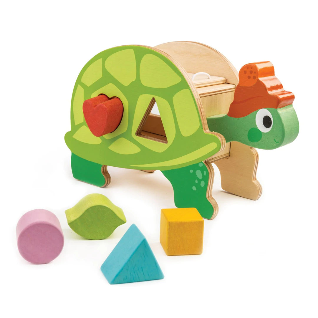 Tortoise Shape Sorter - Hello Kids Baby Store